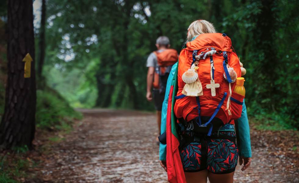 camino-de-santiago.jpg